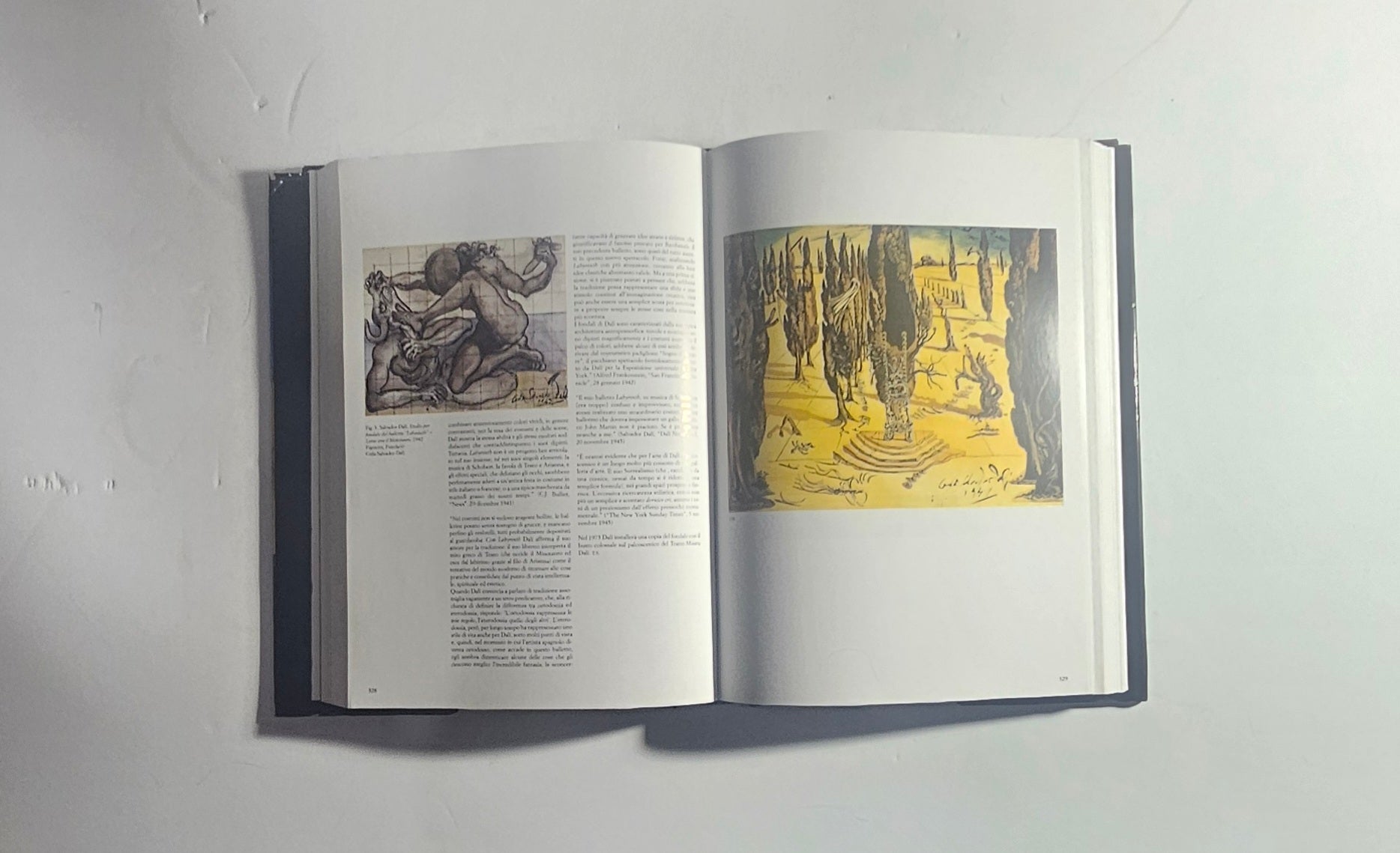 iolibrocarmine pagine illustrate catalogo surrealismo Dalí
