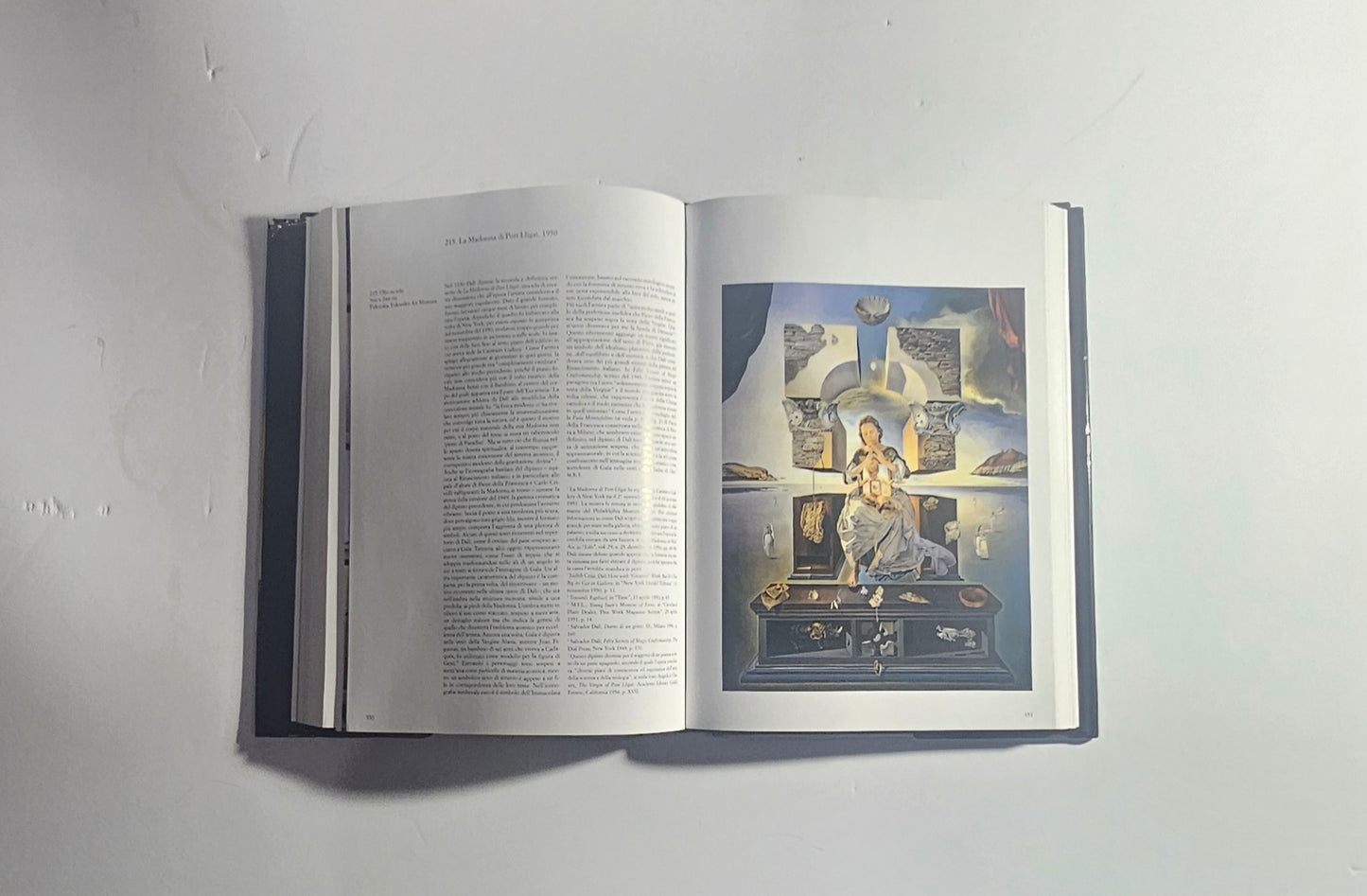 iolibrocarmine volume illustrato Salvador Dalí arte moderna