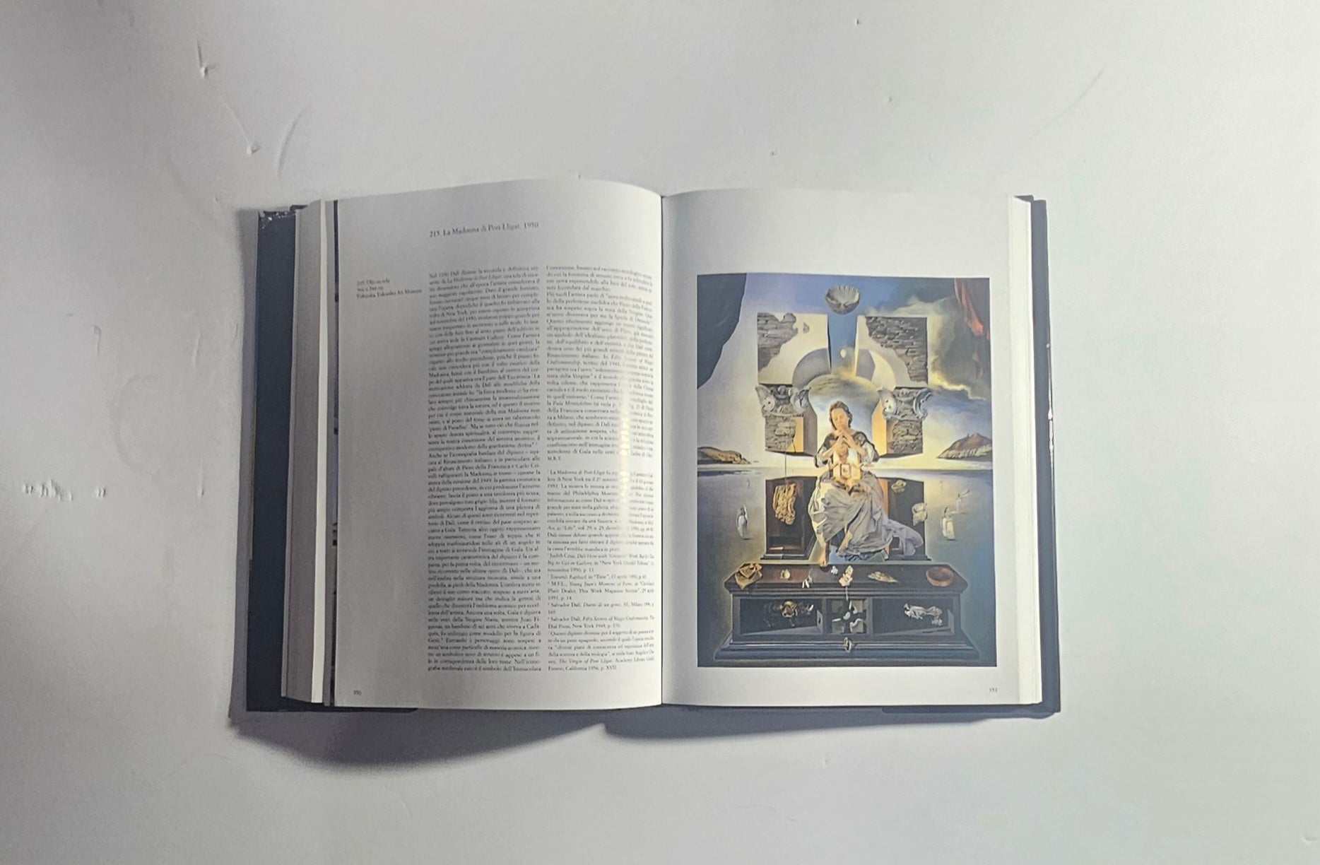 iolibrocarmine volume illustrato Salvador Dalí arte moderna