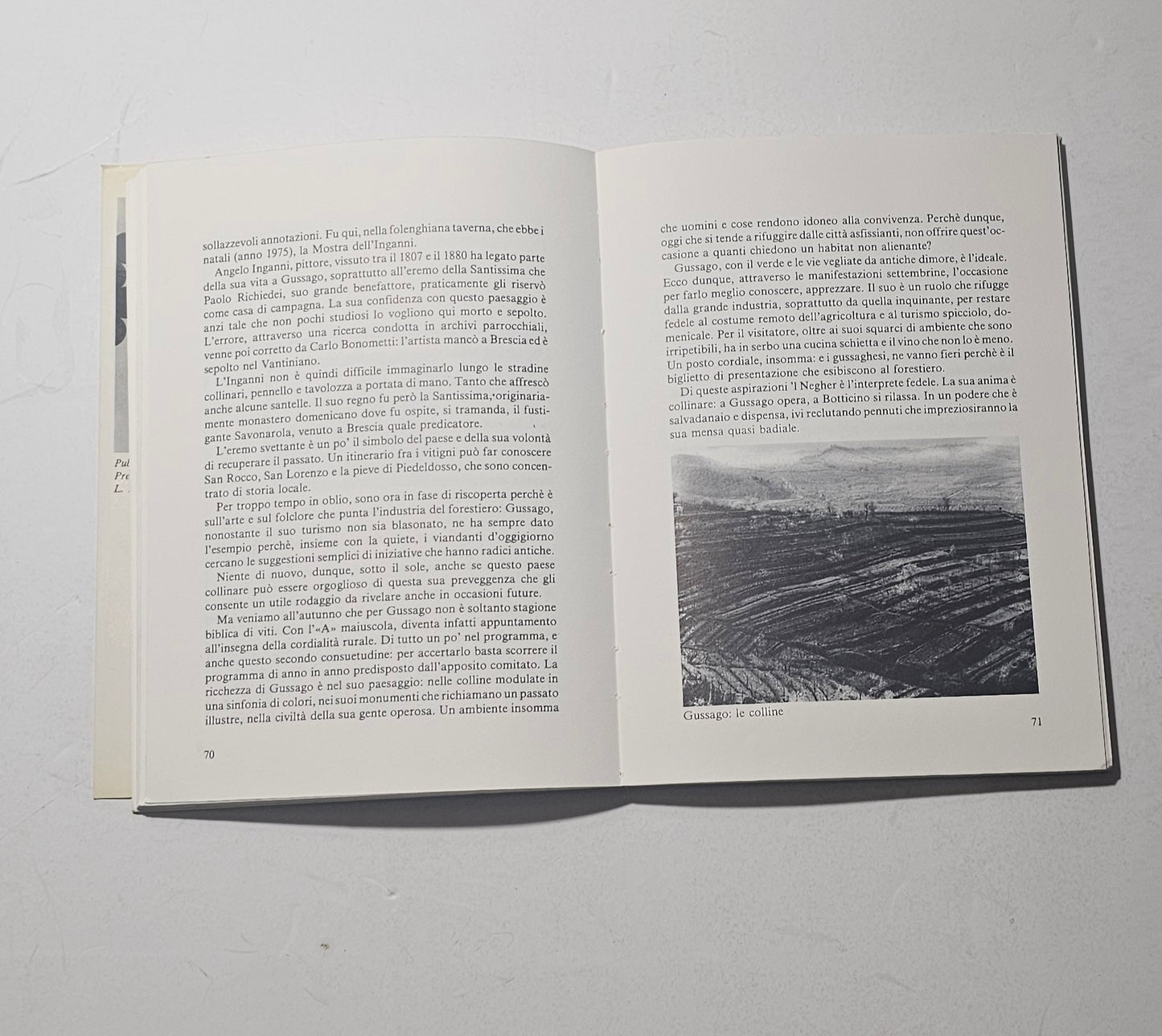 Pagina interna illustrata del libro “Vino e dintorni” con fotografia del territorio collinare di Gussago e approfondimenti sulla cultura del vino in Franciacorta.