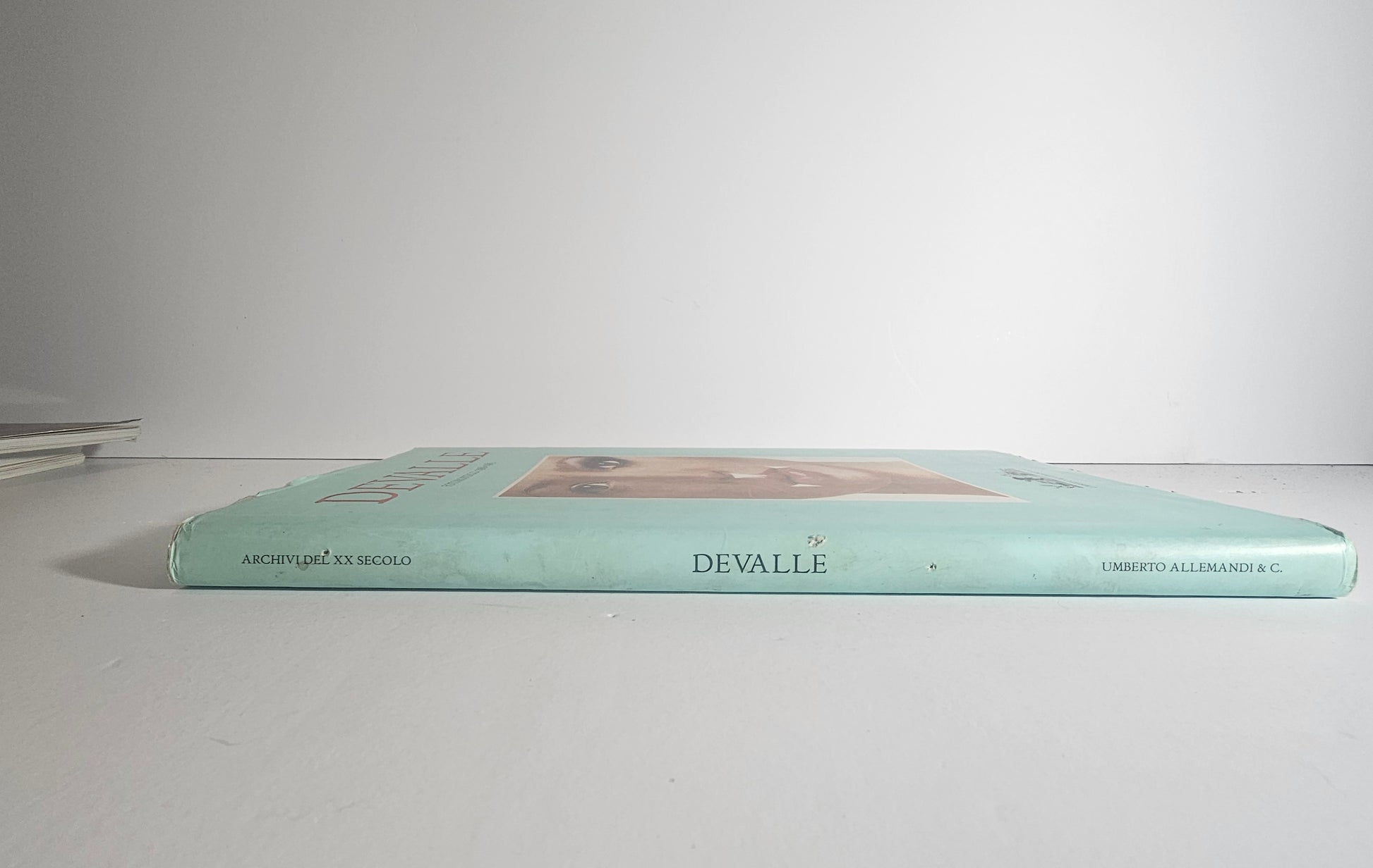 Libro Devalle fotomontaggi arte contemporanea Umberto Allemandi
