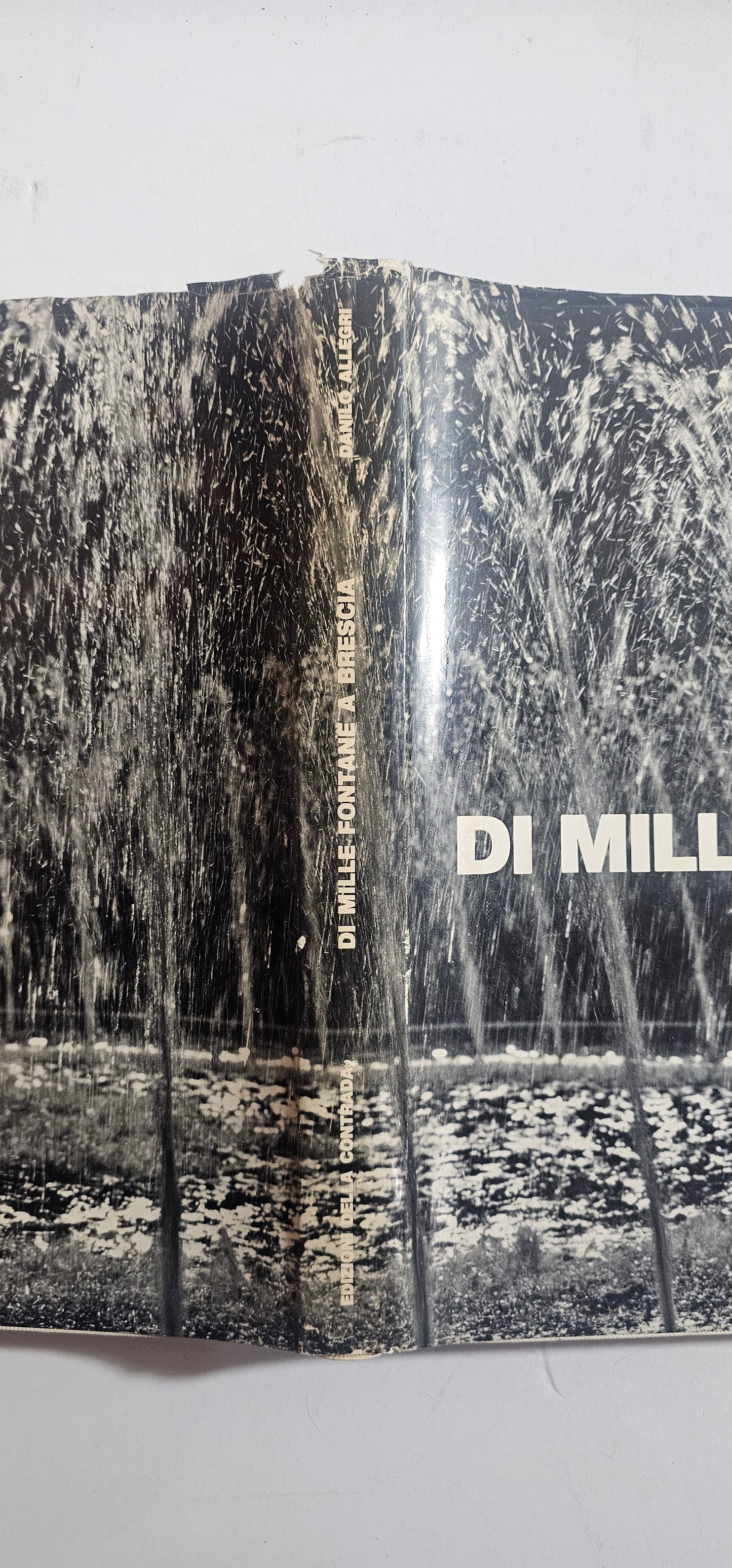Di Mille Fontane a Brescia Danilo Allegri Fotografia Città Edizioni Contrada - IOLIBROCARMINE