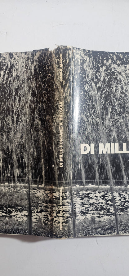 Di Mille Fontane a Brescia Danilo Allegri Fotografia Città Edizioni Contrada - IOLIBROCARMINE