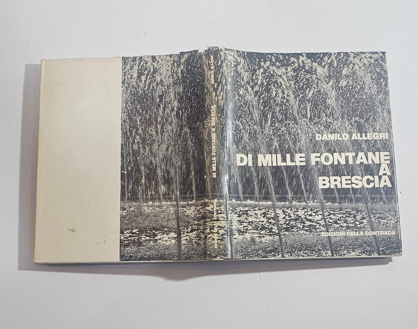 libro di mille fontane a brescia danilo allegri copertina
