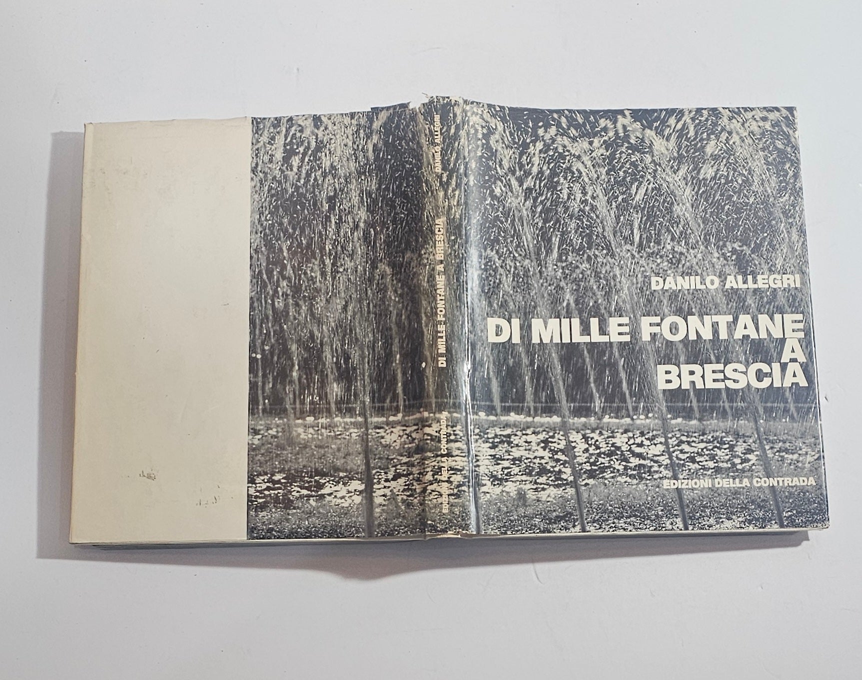 libro di mille fontane a brescia danilo allegri copertina