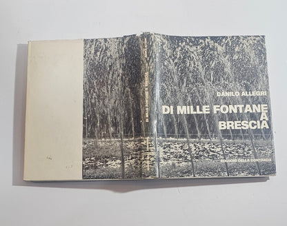 libro di mille fontane a brescia danilo allegri copertina