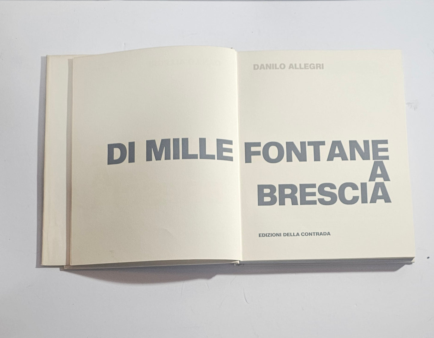 frontespizio libro danilo allegri brescia