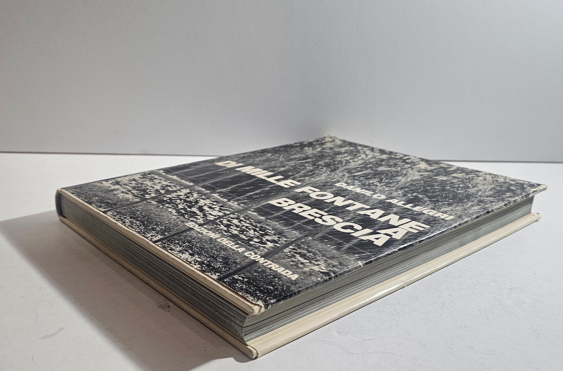 pagine libro architettura urbana fontane storiche interezza del libro