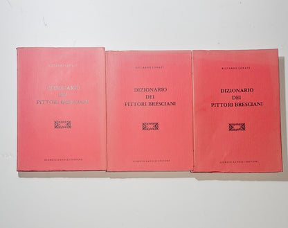iolibrocarmine dizionario pittori bresciani lonati copertine tre volumi
