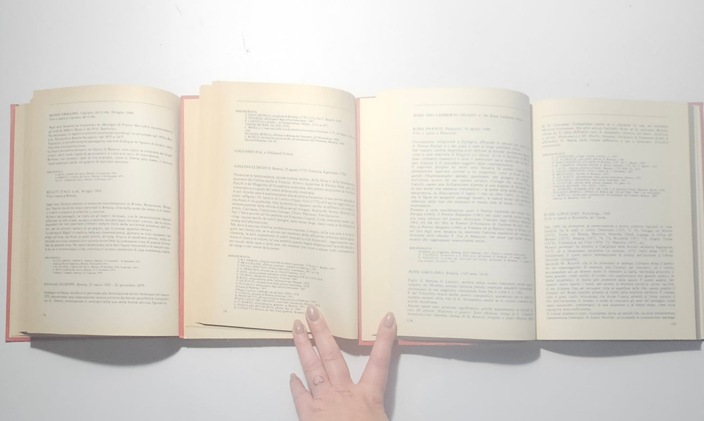 iolibrocarmine pagine interne schede artisti pittura brescia