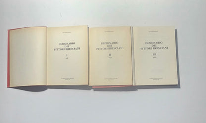 iolibrocarmine frontespizi interni dizionario pittori bresciani lonati

