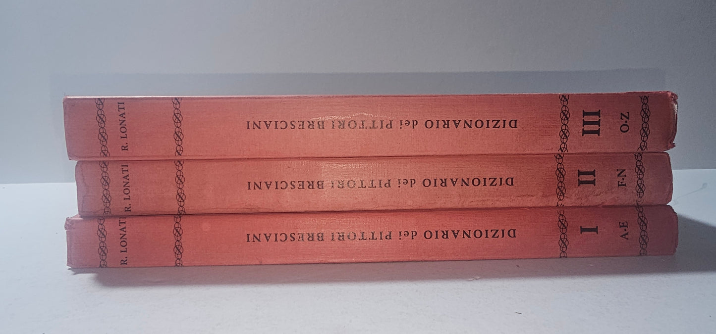 iolibrocarmine dorsi volumi dizionario pittori bresciani a e f n o z
