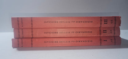 iolibrocarmine dorsi volumi dizionario pittori bresciani a e f n o z

