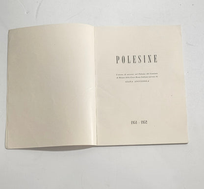 iolibrocarmine frontespizio volume storico Polesine
