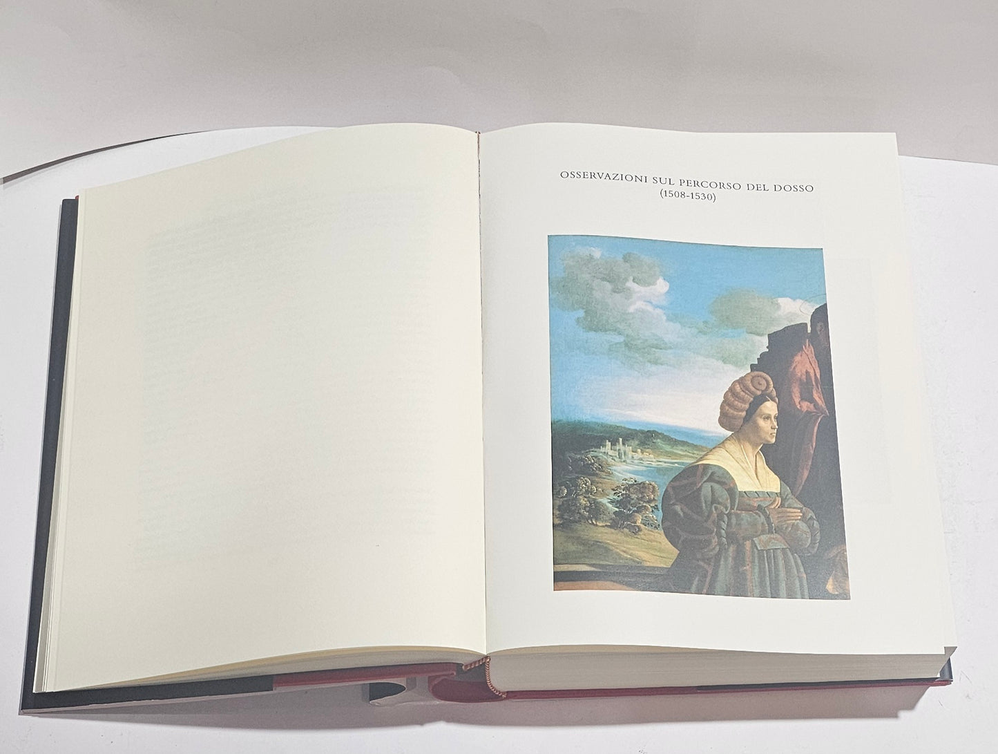 Riproduzioni opere Dosso Dossi libro monografia artistica