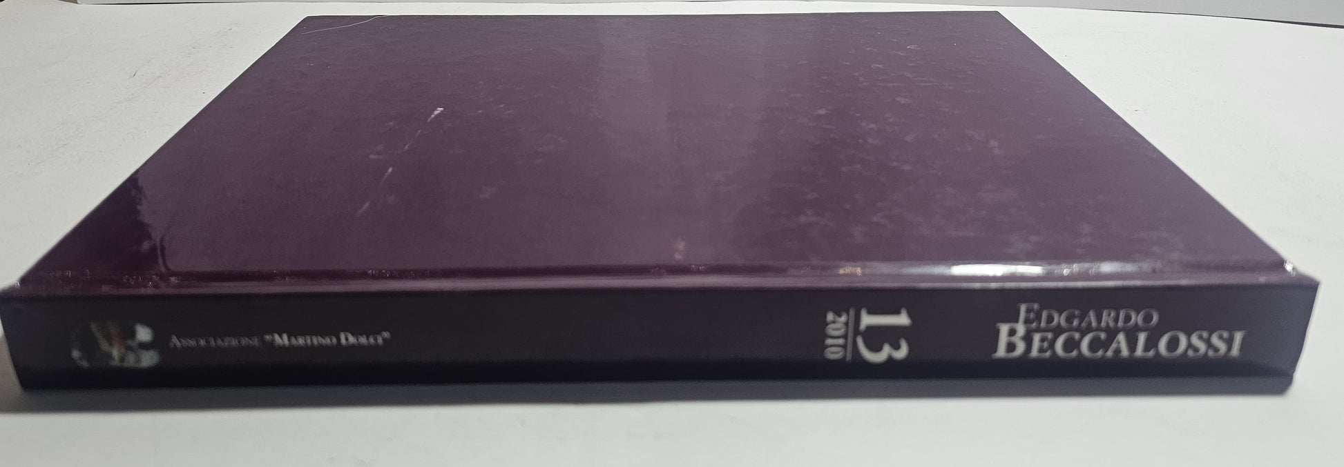 Edgardo Beccalossi catalogo arte 2010 libro pittura contemporanea dorso 