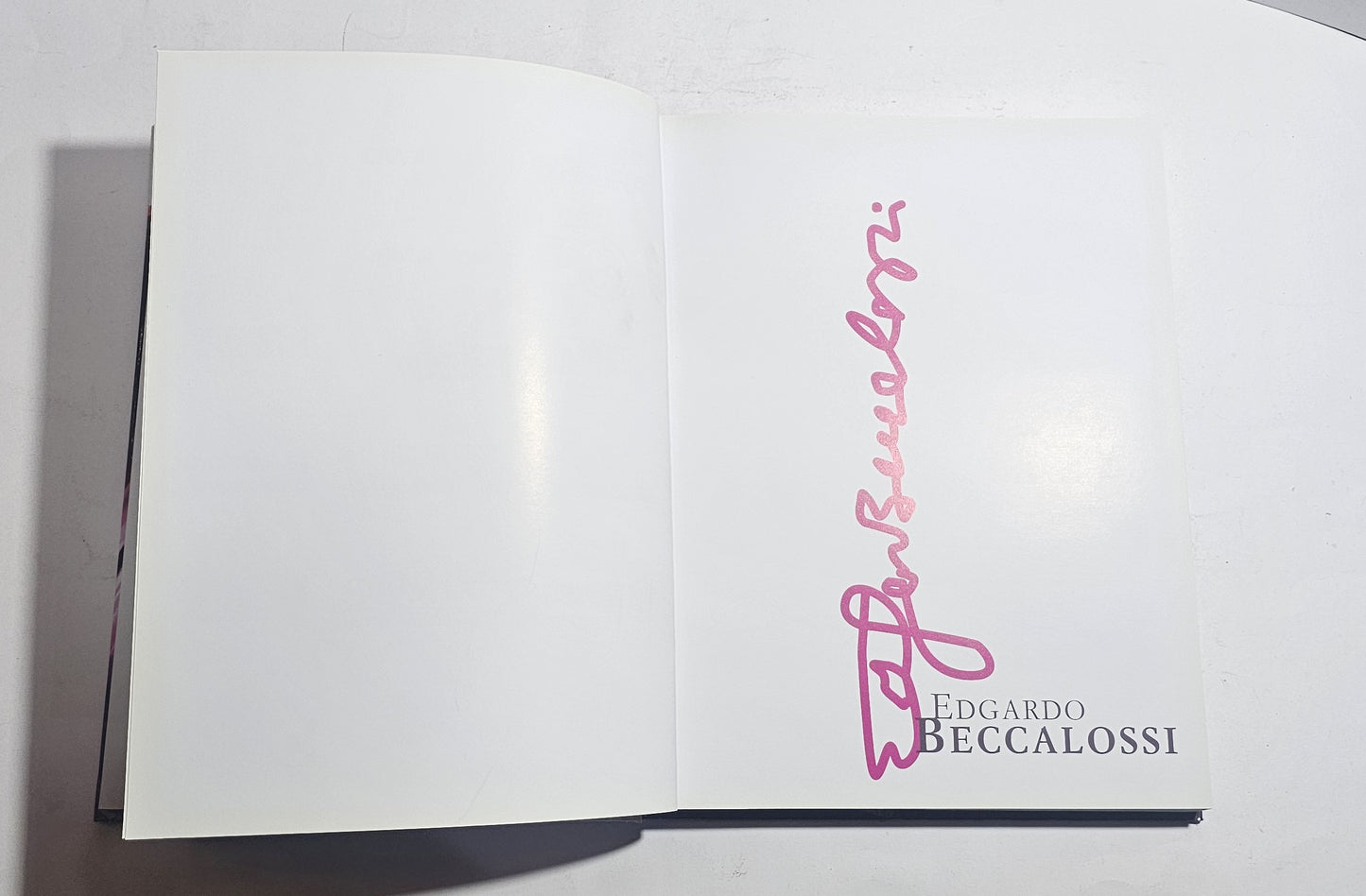Edgardo Beccalossi catalogo arte 2010 libro pittura contemporanea frontespizio