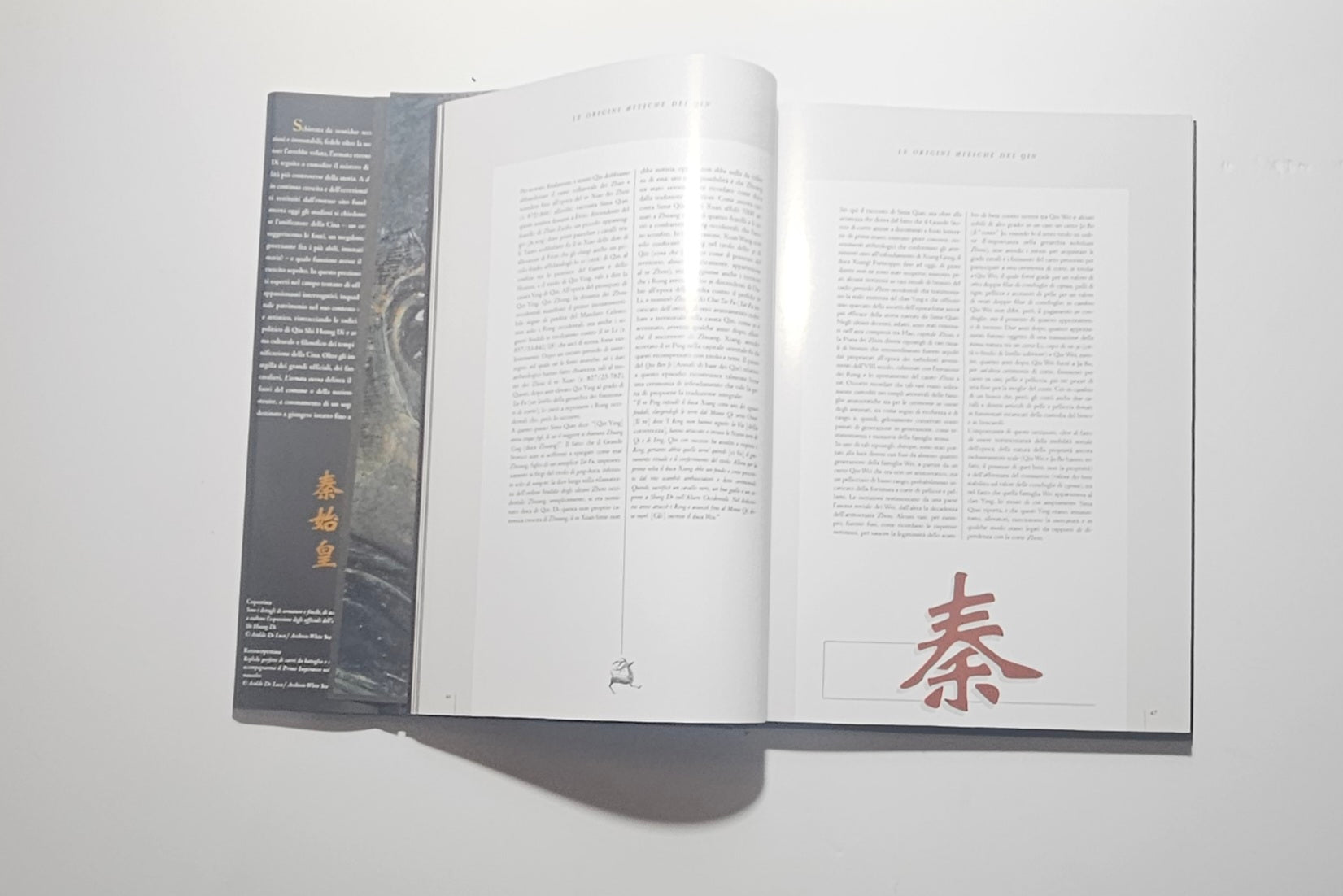 Interno libro soldati terracotta fotografie archeologia Cina testo due colonne
