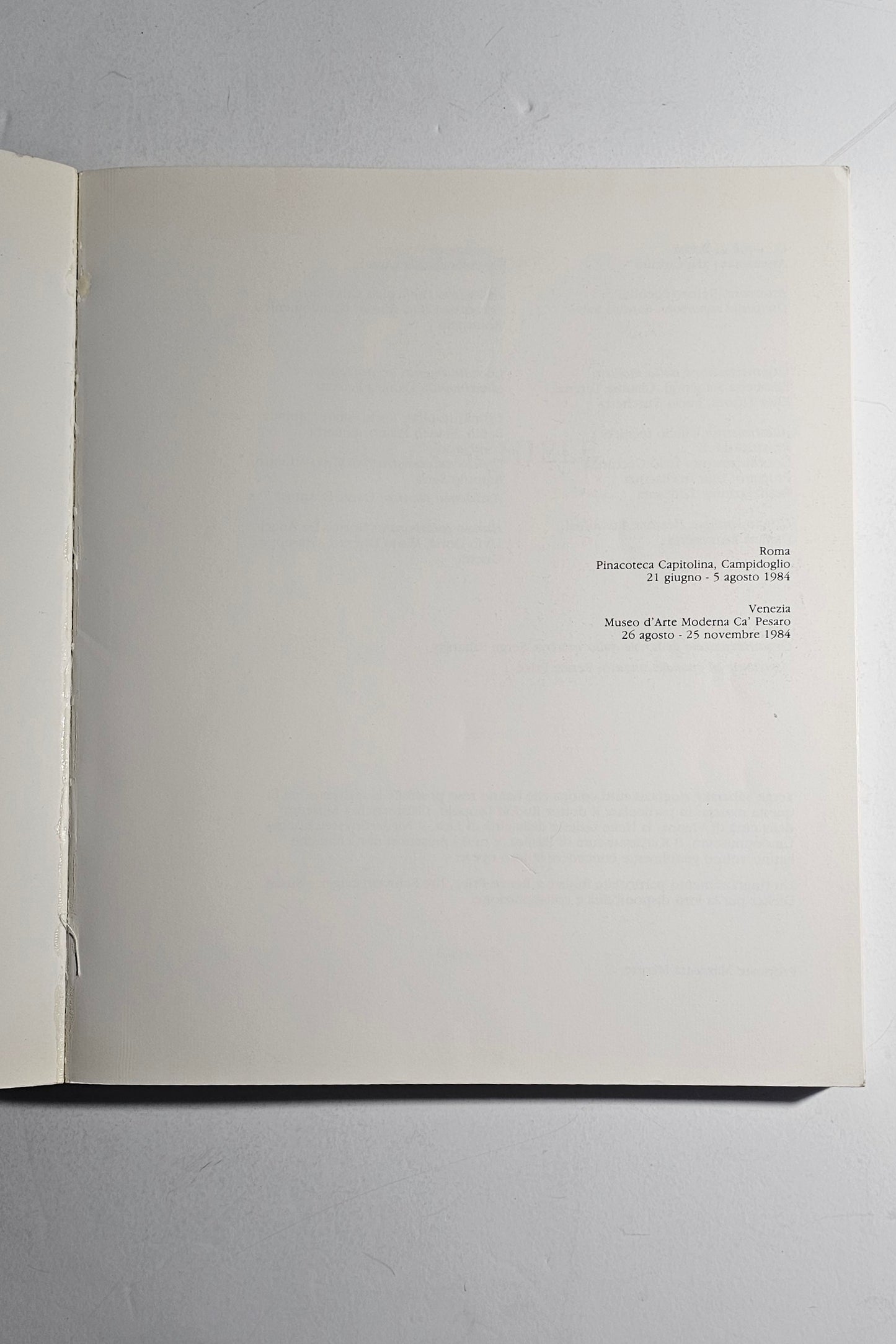 iolibrocarmine catalogo mostra Schiele Roma Venezia 1984
