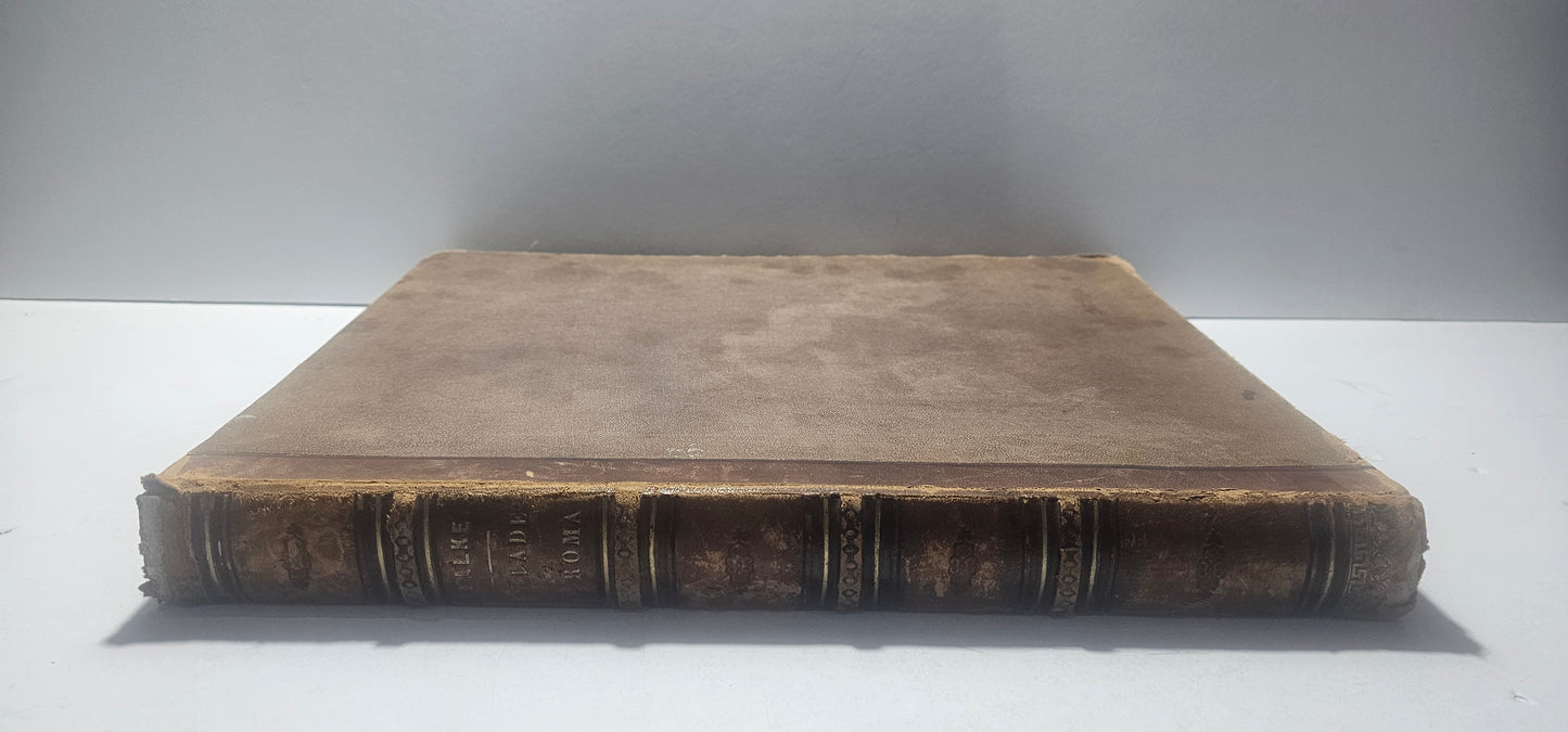 dorso libro antico treves milano ottocento
