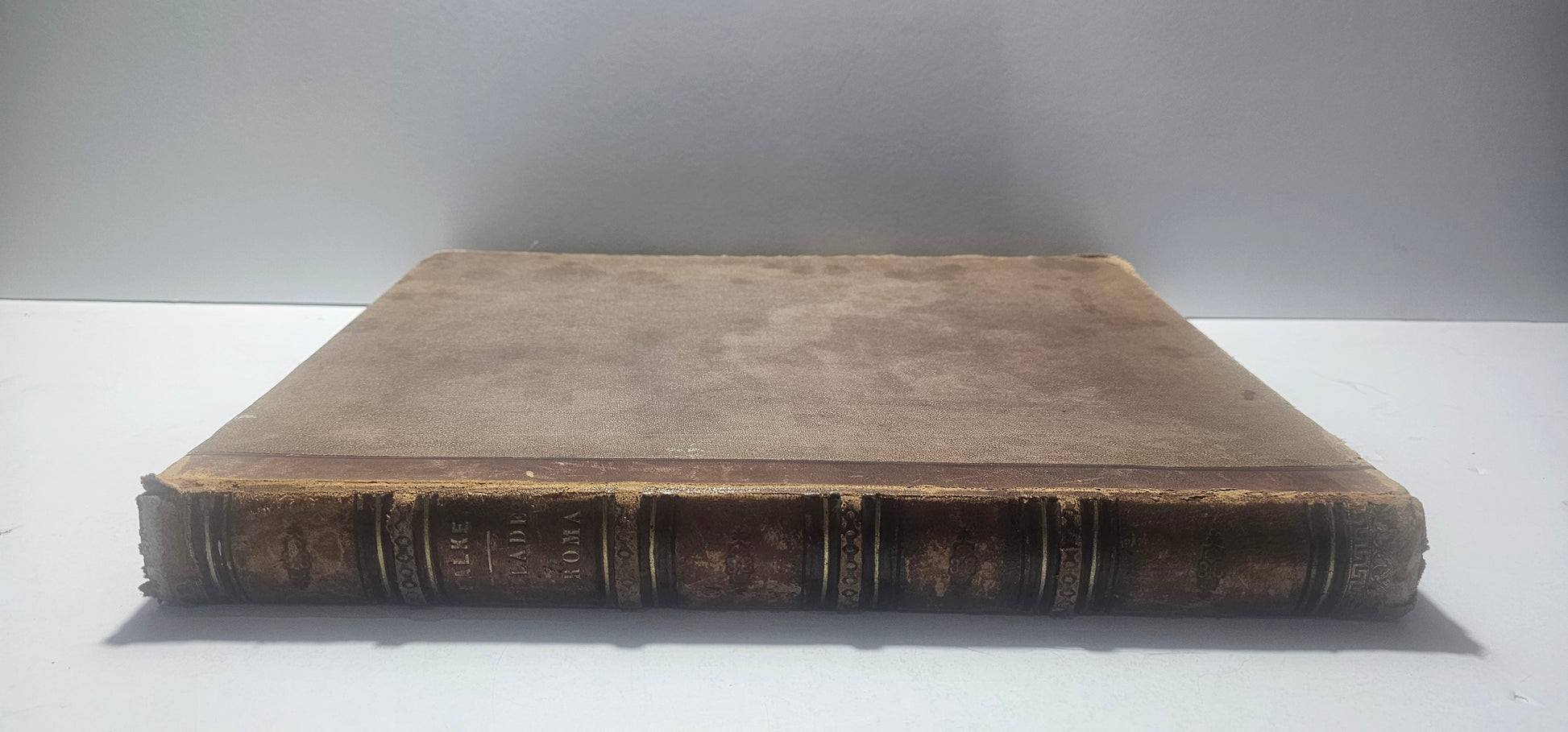 dorso libro antico treves milano ottocento
