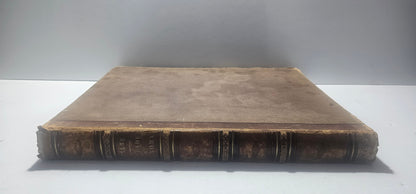 dorso libro antico treves milano ottocento
