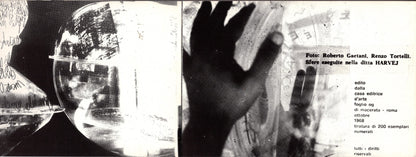 Libro raro di Emilio Villa pubblicato da Foglio nel 1968 con fotografie di Roberto Gaetani e Renzo Tortelli iolibrocarmine