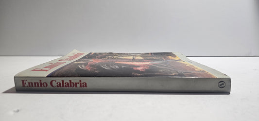Dorso libro catalogo di Ennio Calabria