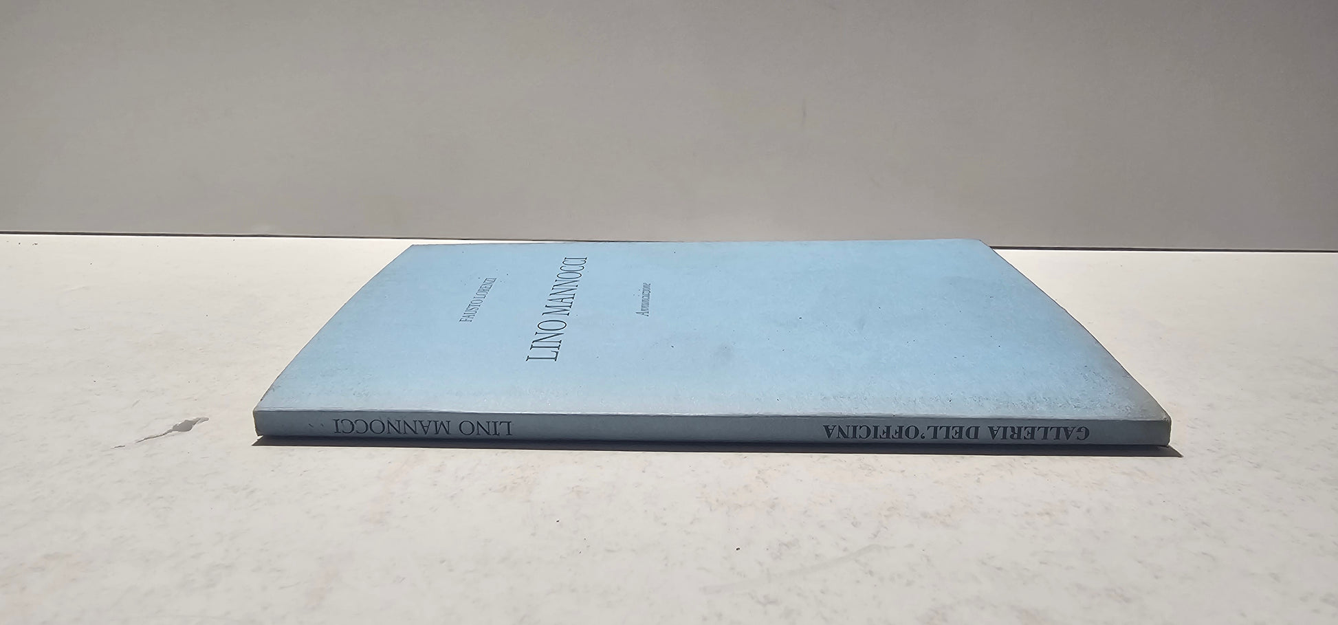 dorso catalogo arte contemporanea italiana
