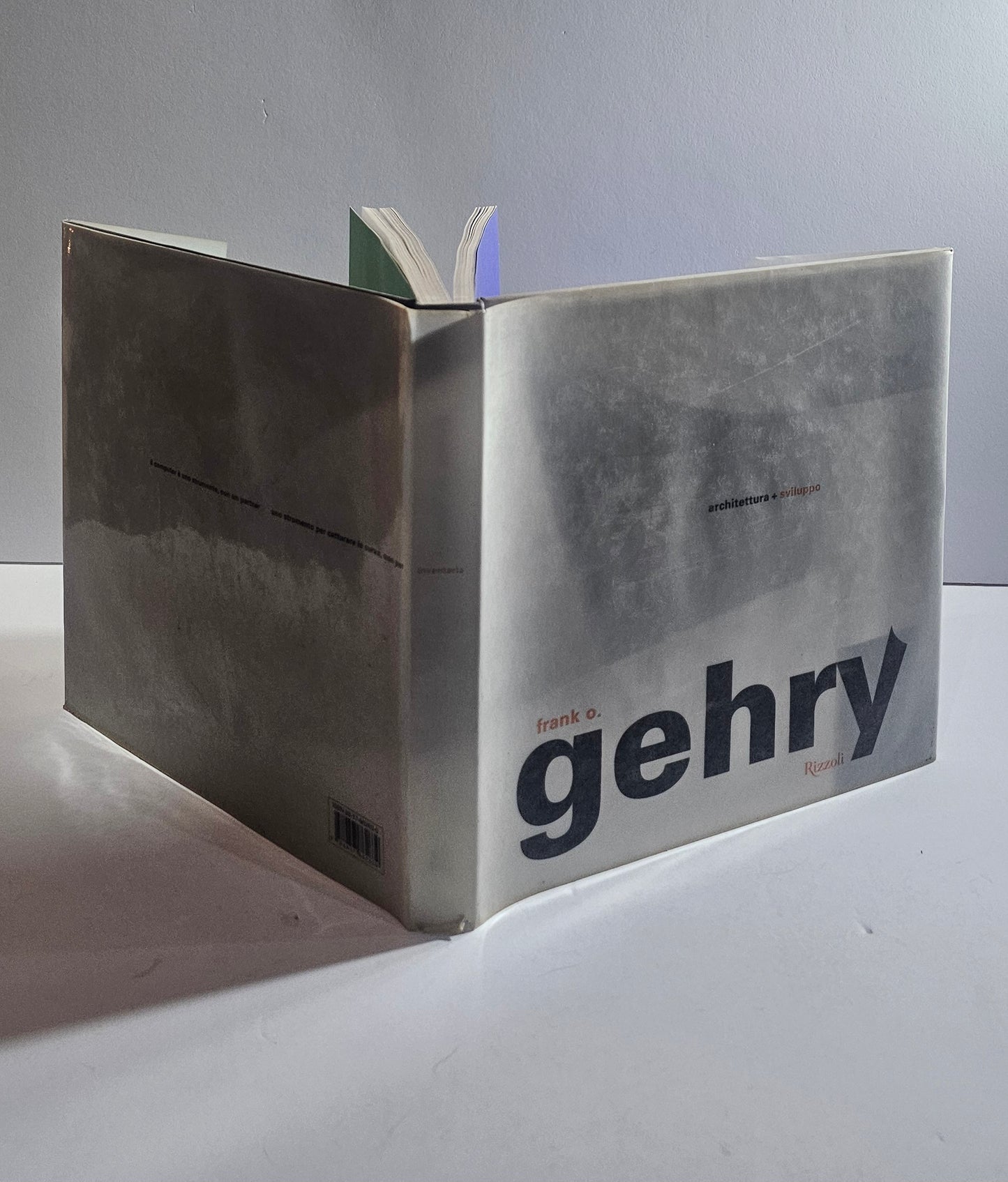 frank o gehry libro architettura rizzoli copertina design contemporaneo