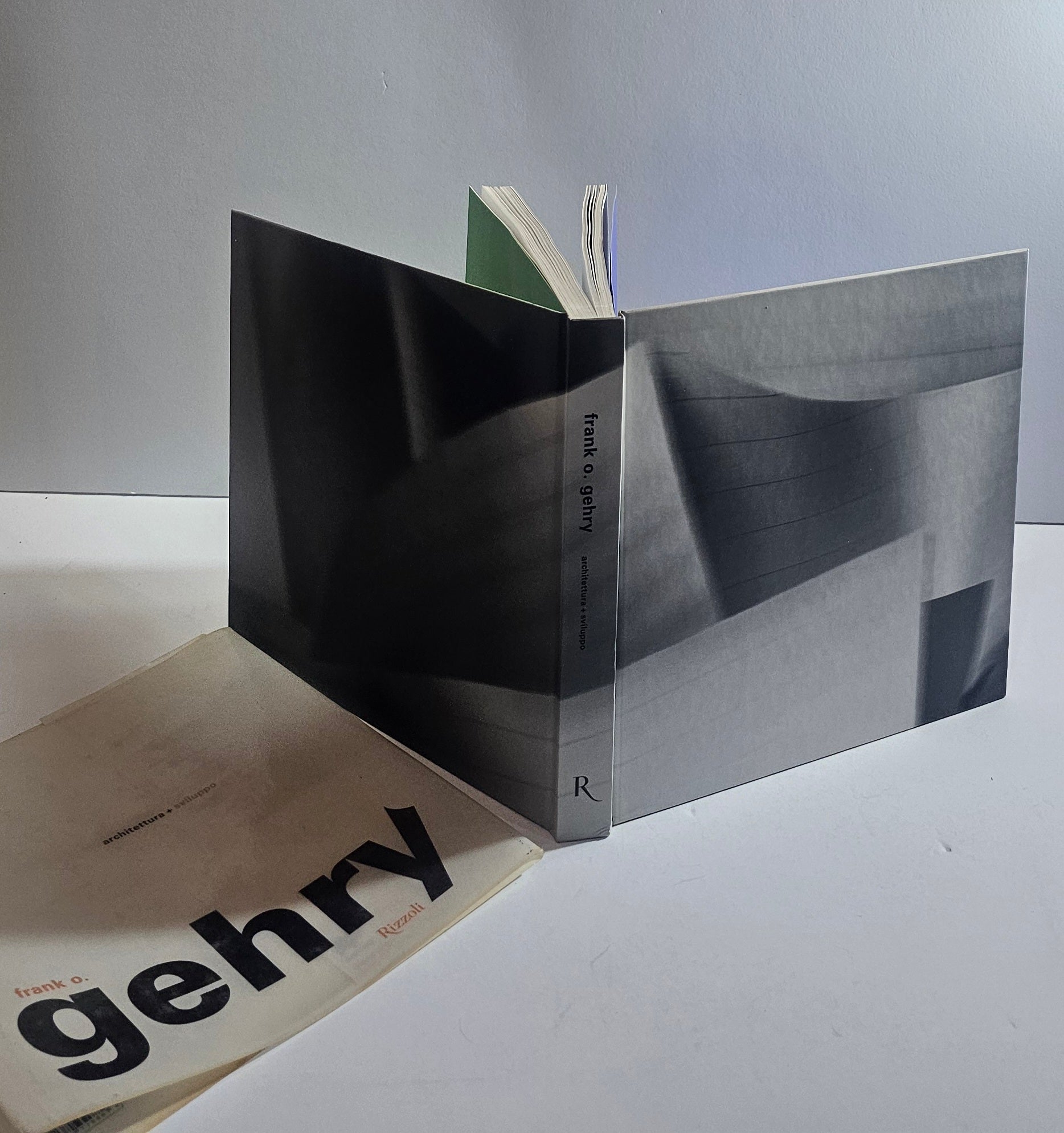 frank o gehry libro architettura rizzoli copertina design contemporaneo sovraccoperta 
