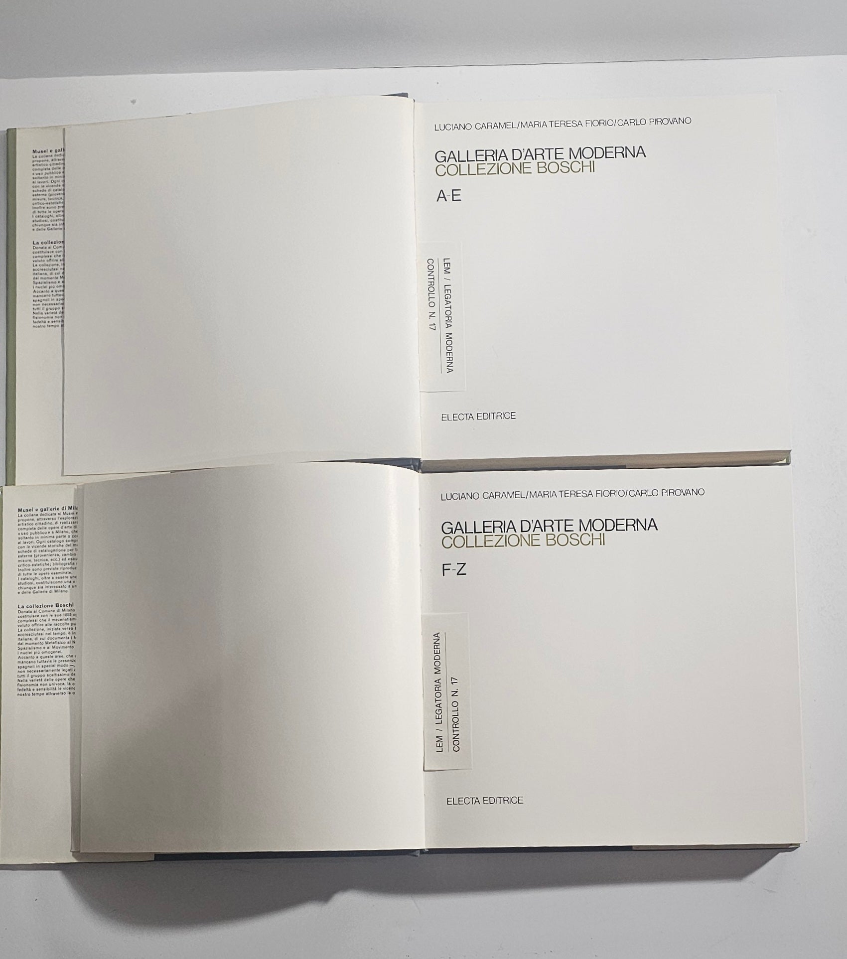iolibrocarmine catalogo electa arte moderna collezione boschi
