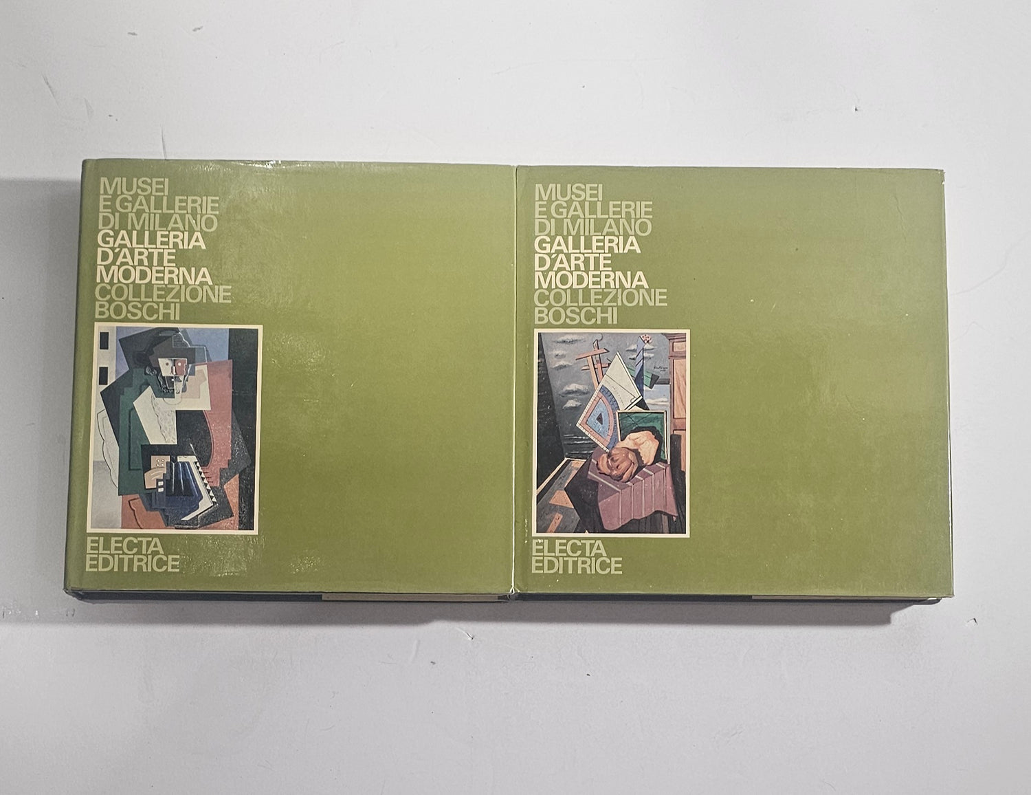 iolibrocarmine galleria arte moderna milano boschi due volumi electa

