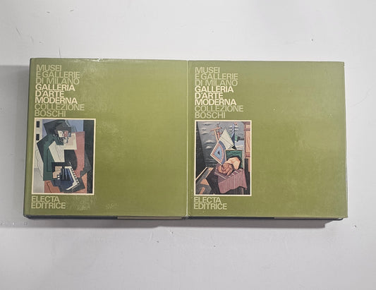 iolibrocarmine galleria arte moderna milano boschi due volumi electa
