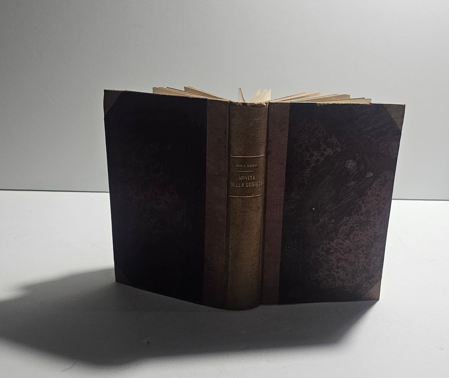 Legatura mezza pelle libro antico
