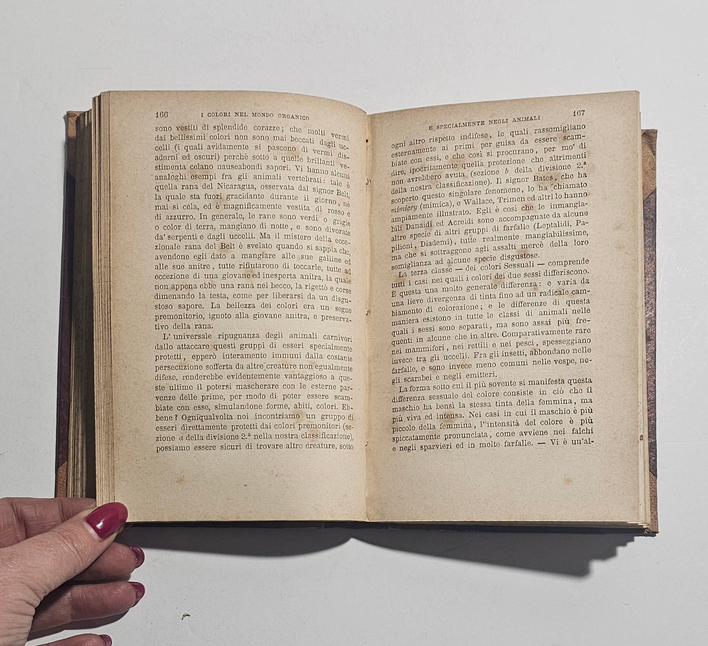 Pagine interne libro scientifico XIX secolo
