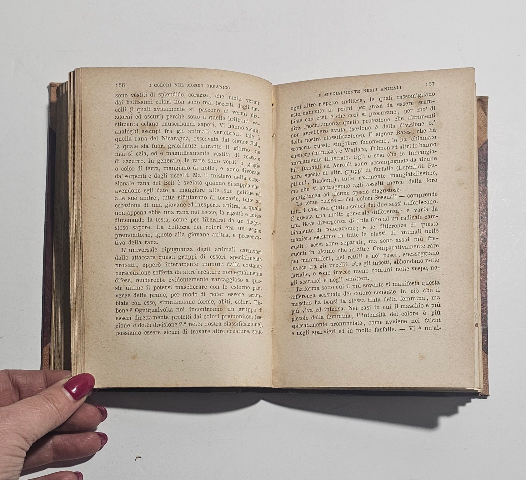 Pagine interne libro scientifico XIX secolo
