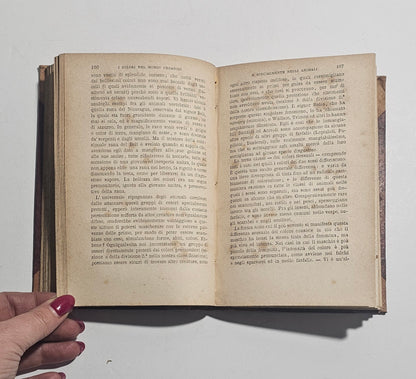 Pagine interne libro scientifico XIX secolo
