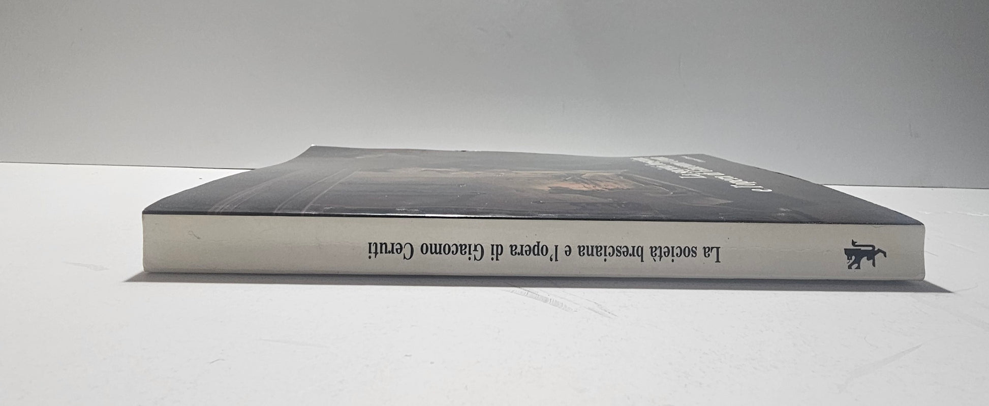 Dorso libro arte bresciana Ceruti Atti del convegno