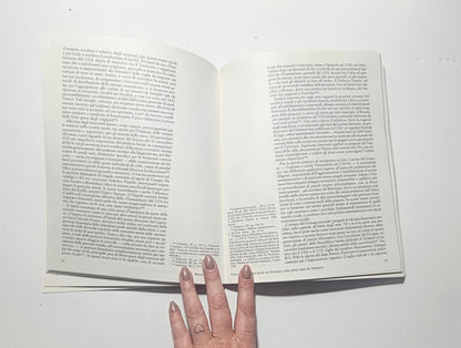 Pagine interne libro storia arte lombarda Giacomo ceruti 