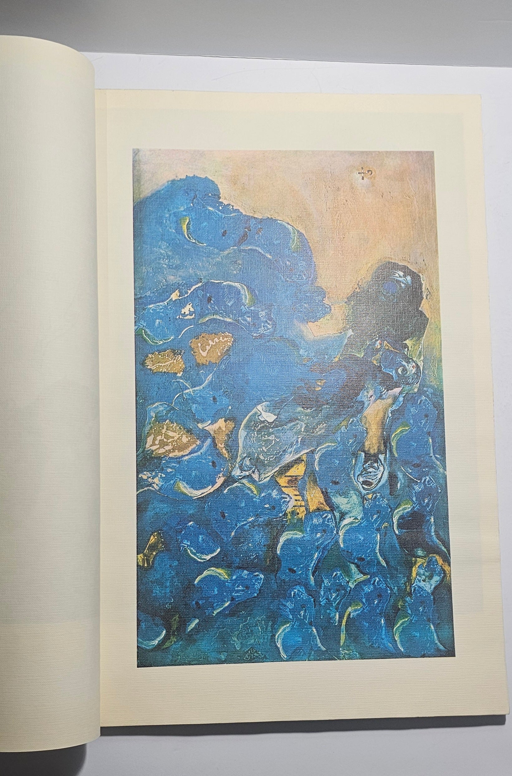 Opera illustrata blu Giannetto Fieschi catalogo arte iolibrocarmine su tela