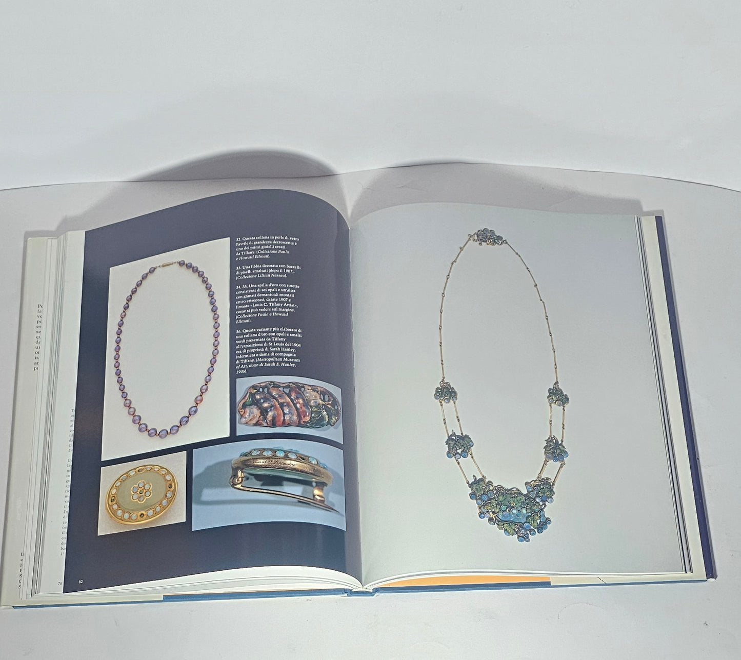 Gioielli e smalti di Tiffany Janet Zapata libro catalogo Louis Comfort Tiffany interno