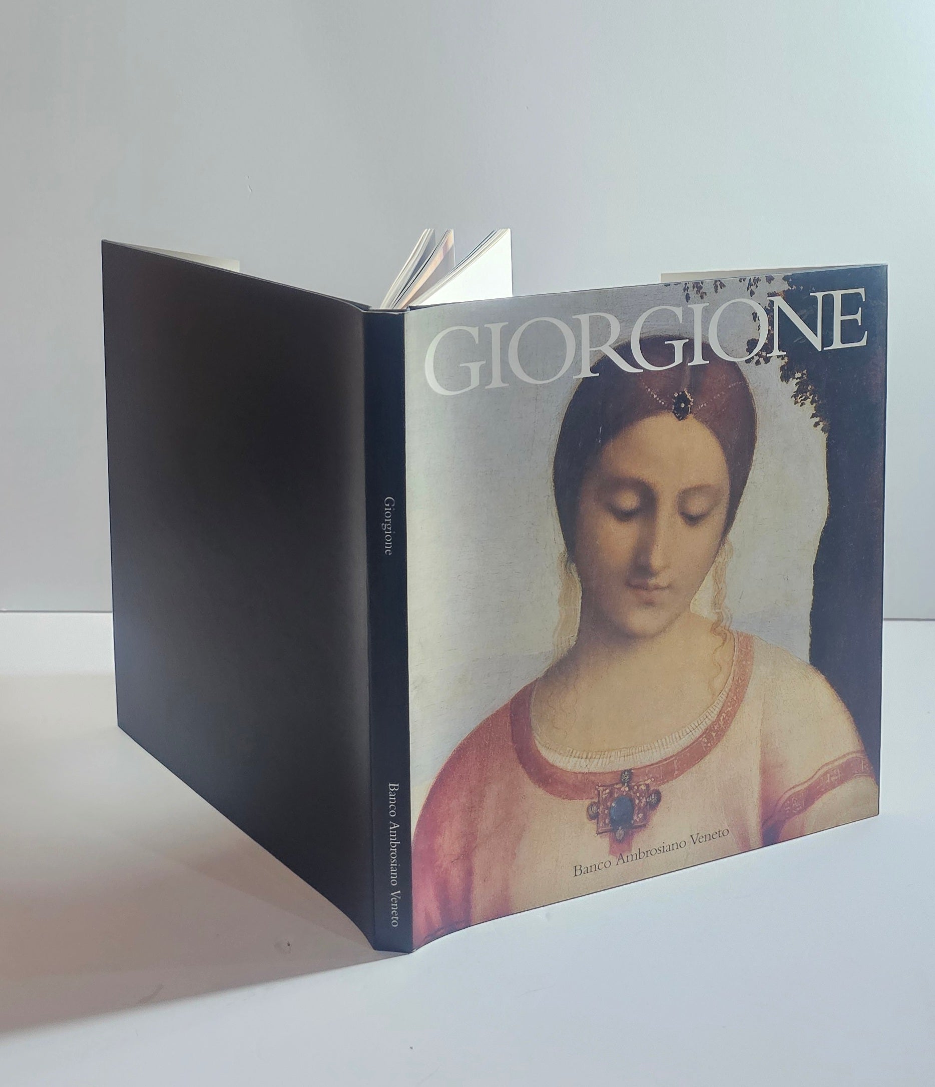 giorgione libro arte copertina pittura veneziana rinascimento