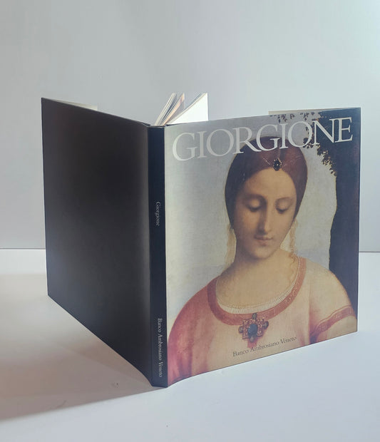 giorgione libro arte copertina pittura veneziana rinascimento