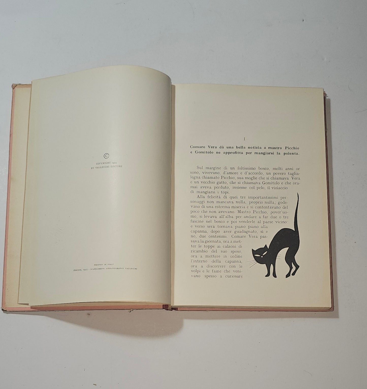Tavola a colori del libro Gomitolino di Yambo con barbagianni io libro carmine