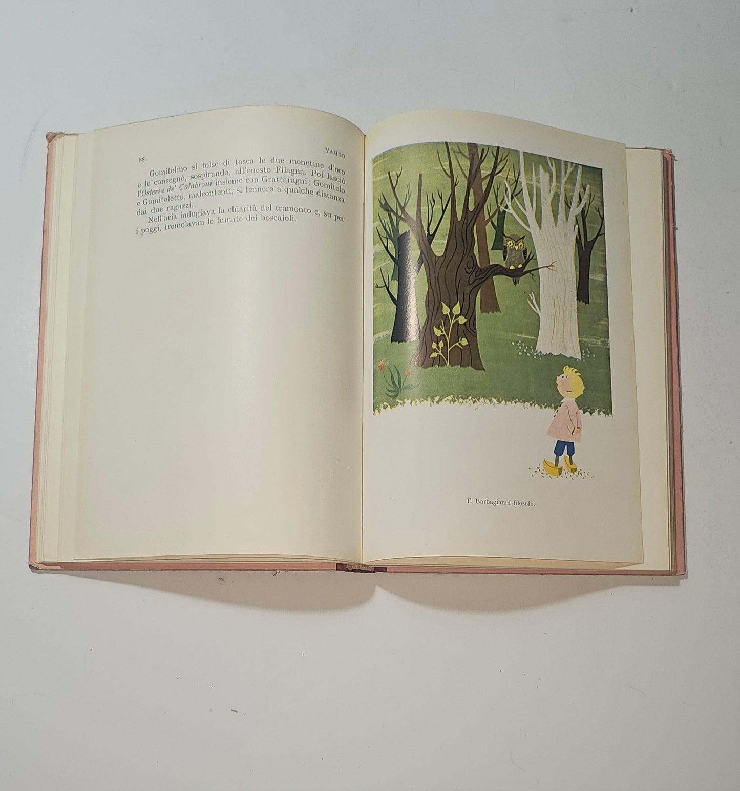 Pagina iniziale del libro Gomitolino di Yambo con illustrazione del gatto io libro carmine