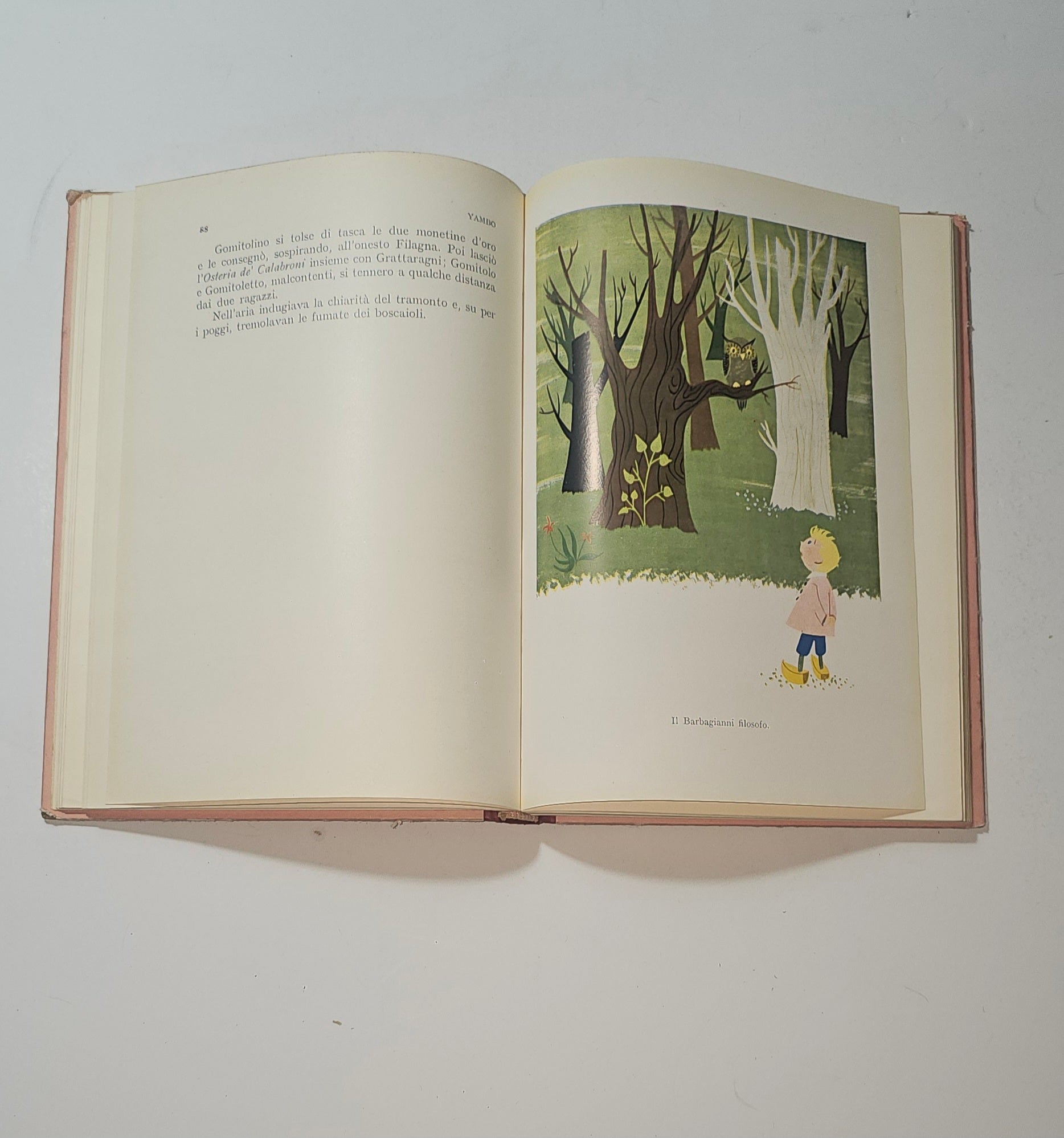 Pagina iniziale del libro Gomitolino di Yambo con illustrazione del gatto io libro carmine