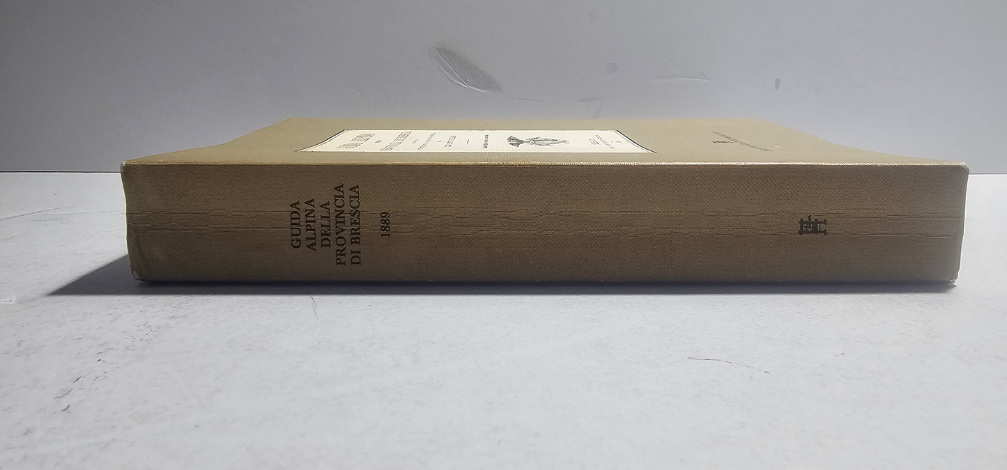 Dorso del volume Guida Alpina Provincia di Brescia 1889 Club Alpino Italiano iolibrocarmine