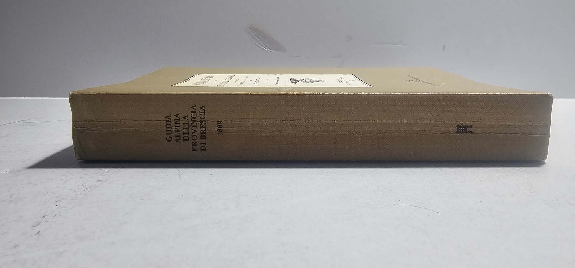 Dorso del volume Guida Alpina Provincia di Brescia 1889 Club Alpino Italiano iolibrocarmine
