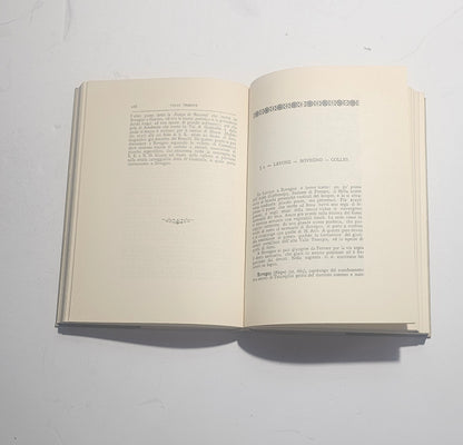 Pagine interne della guida alpina storica dedicata alle vallate bresciane iolibrocarmine